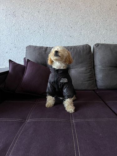 Customer photo review of Piumino "The Dog Face" Nero Personalizzabile con nome