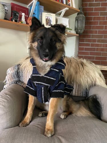 Customer photo review of Playa Poncho - Surprise Color