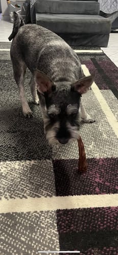Customer photo review of Kangaroo Tail Tips!