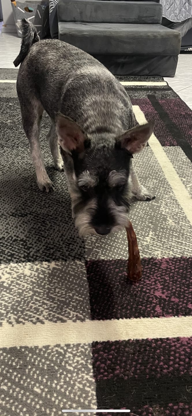 Customer photo review of Kangaroo Tail Tips!