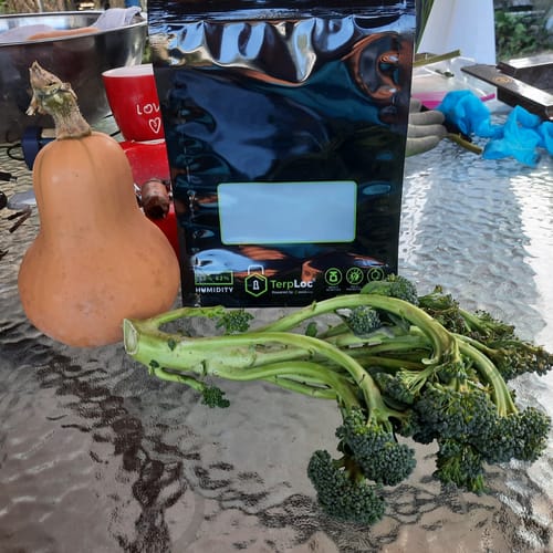 Customer photo review of Grove Bags with TerpLoc, Curing & Storage Bags, Windowed Pouches