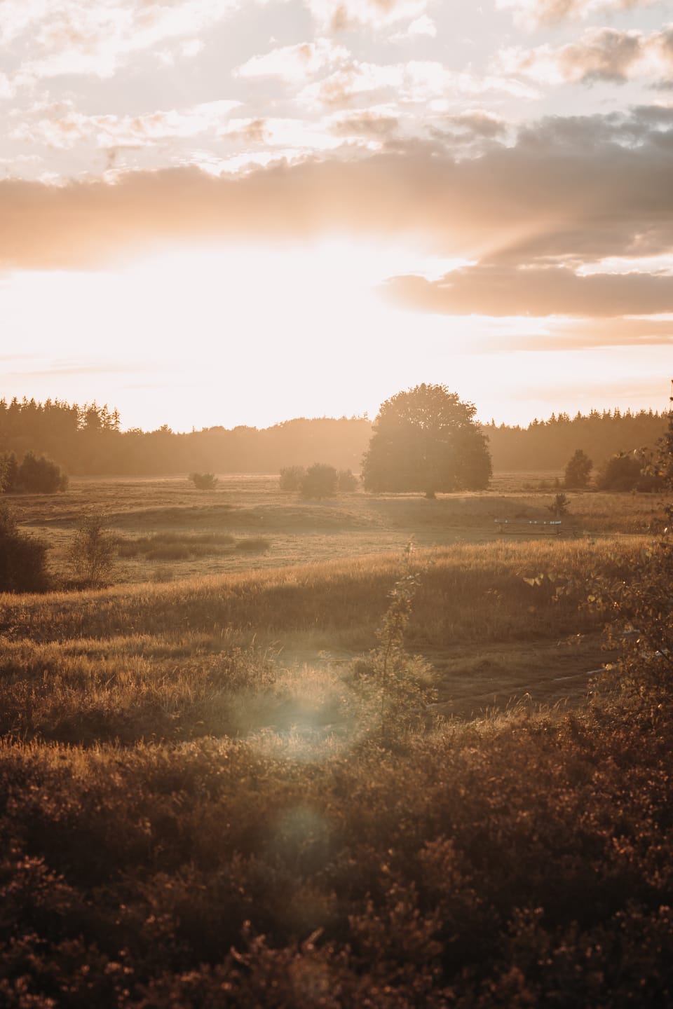 Customer photo review of GOLDEN HOUR LIGHTROOM PRESETS