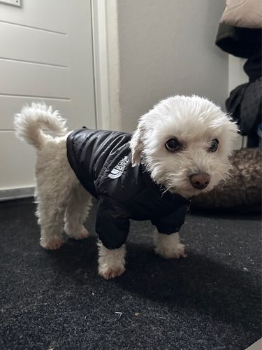 Customer photo review of Piumino "The Dog Face" Nero Personalizzabile con nome