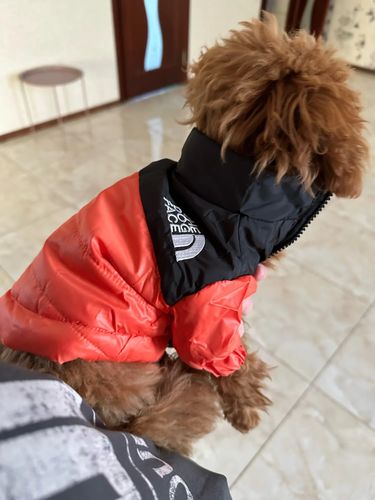 Customer photo review of Piumino "The Dog Face" Arancione Personalizzabile con nome