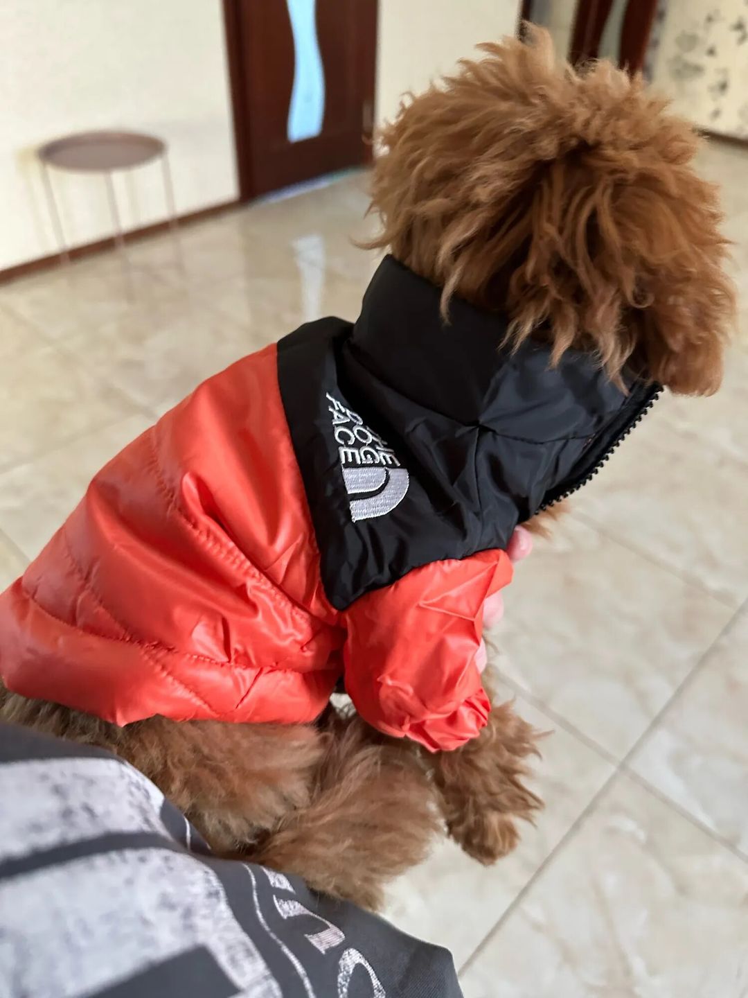 Customer photo review of Piumino "The Dog Face" Arancione Personalizzabile con nome