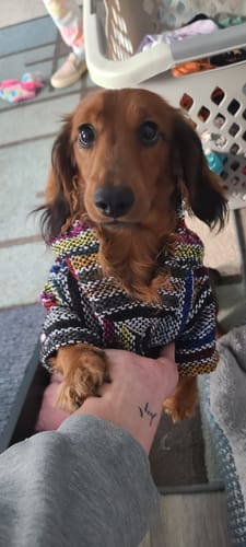 Customer photo review of Playa Poncho - Surprise Color