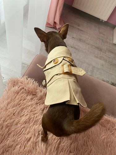 Customer photo review of Trench Beige