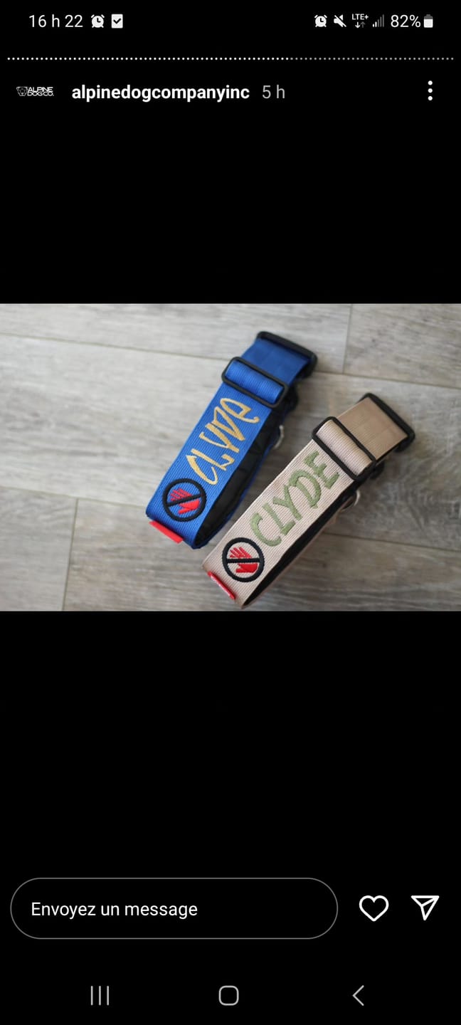 Customer photo review of 2" Tactik Dog Collar - Cobalt