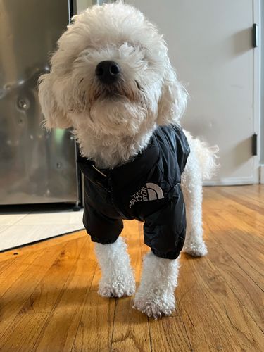 Customer photo review of Piumino "The Dog Face" Nero Personalizzabile con nome