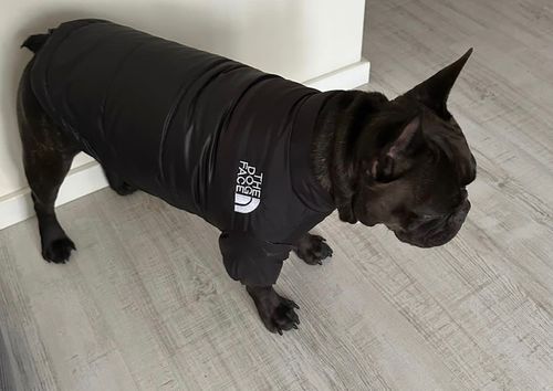 Customer photo review of Piumino "The Dog Face" Nero Personalizzabile con nome