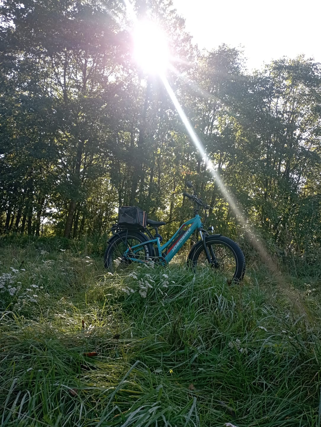 Customer photo review of JOBOBIKE Robin