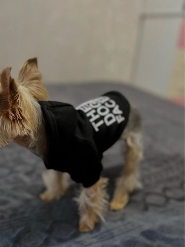 Customer photo review of Felpa "The Dog Face" Nera Personalizzabile con nome