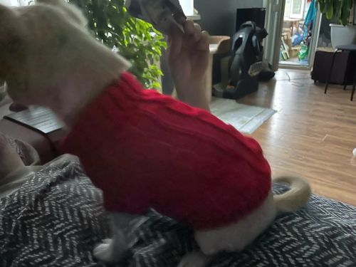 Customer photo review of Maglioncino Dolcevita Rosso