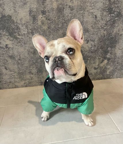 Customer photo review of Piumino "The Dog Face" Verde Personalizzabile con nome