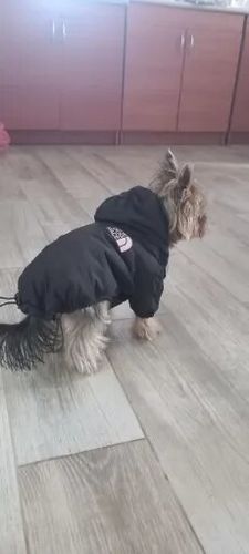 Customer photo review of Giacca "The Dog Face" X "Pupreme" Nera Personalizzabile Con Nome