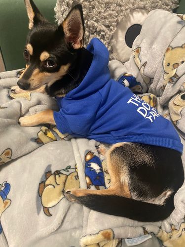 Customer photo review of Felpa "The Dog Face" Blu Personalizzabile con nome