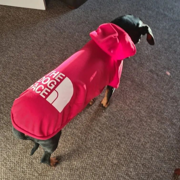 Customer photo review of Felpa "The Dog Face" Rossa Personalizzabile con nome