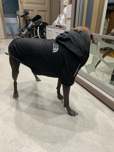 Customer photo review of Giacca "The Dog Face" X "Pupreme" Nera Personalizzabile Con Nome