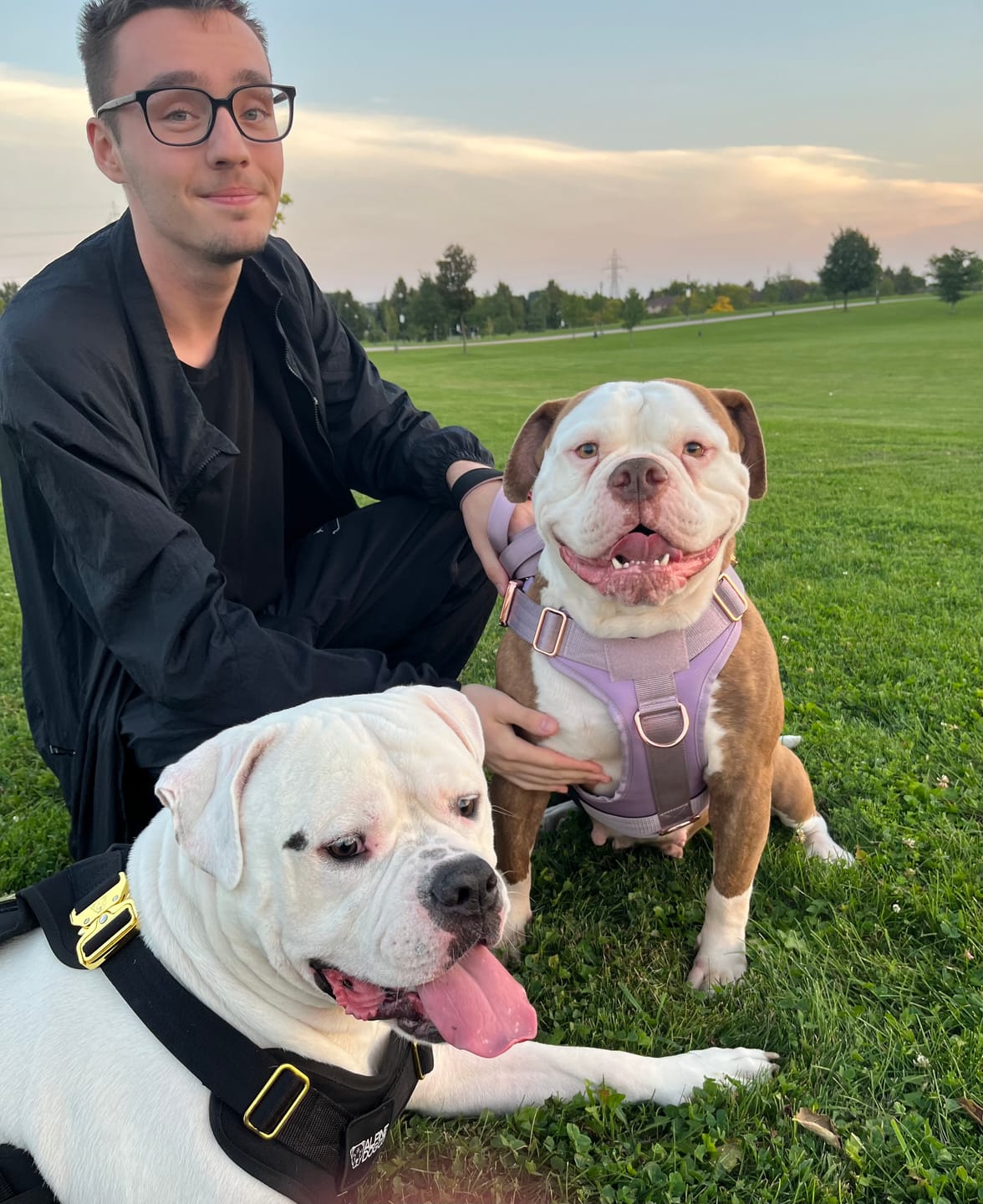 Customer photo review of HNTR 3.0 Dog Harness - Sofia