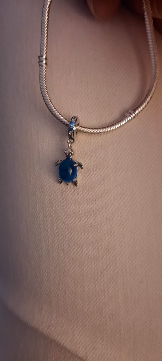 Customer photo review of Charm Tortuga