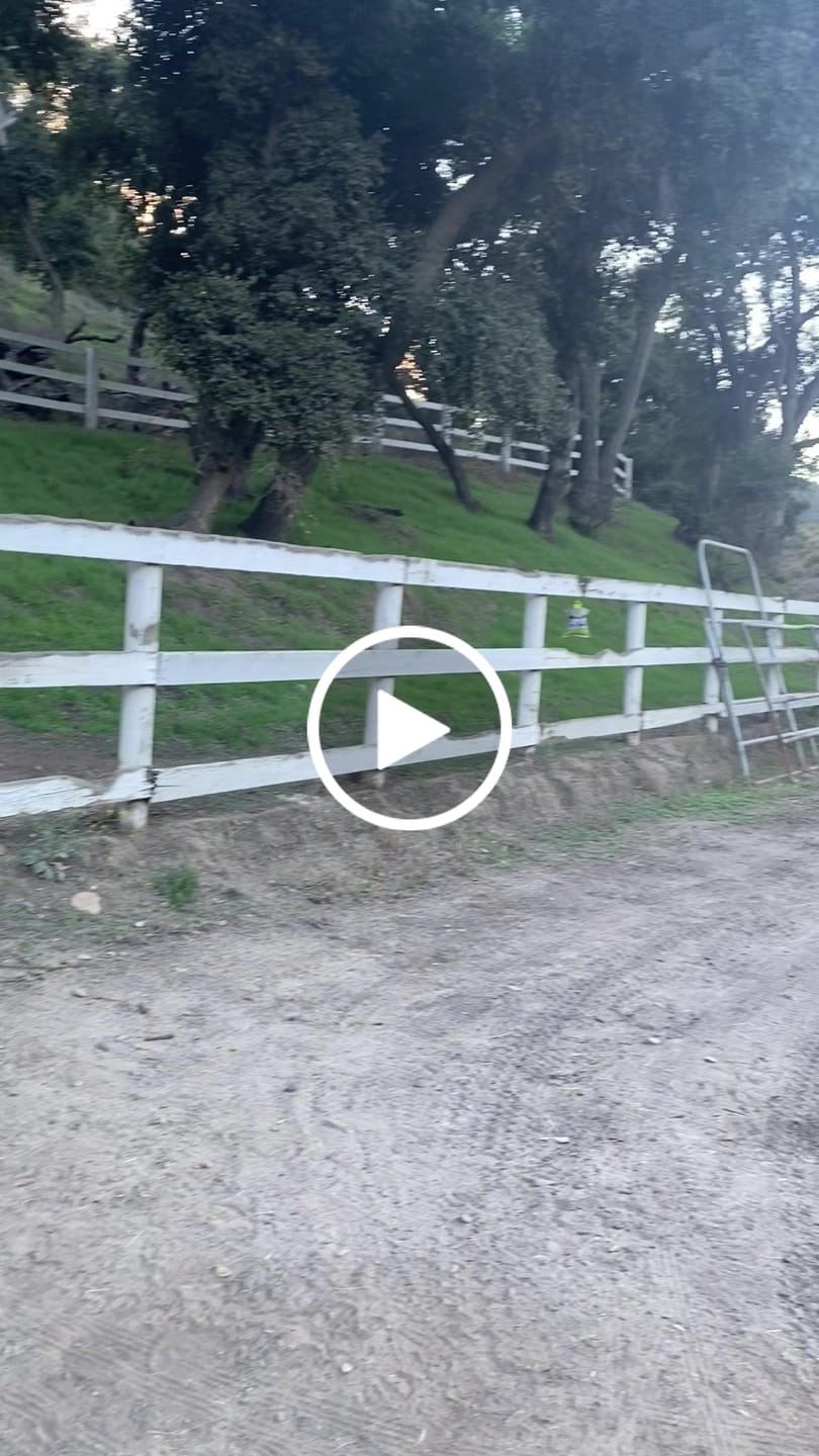 Customer video review of Aloe Vera Pellets