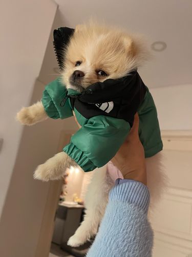 Customer photo review of Piumino "The Dog Face" Verde Personalizzabile con nome