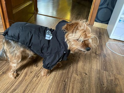 Customer photo review of Giacca "The Dog Face" X "Pupreme" Nera Personalizzabile Con Nome