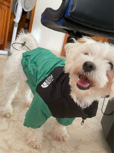 Customer photo review of Piumino "The Dog Face" Verde Personalizzabile con nome