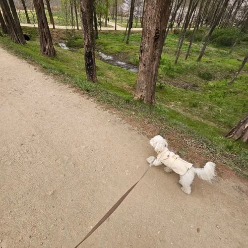 Customer photo review of Trench Beige