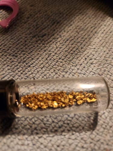 Customer photo review of Nugget Reserve 'MUSEUM SPECIMEN CHASE' - Gold Panning Paydirt Concentrate