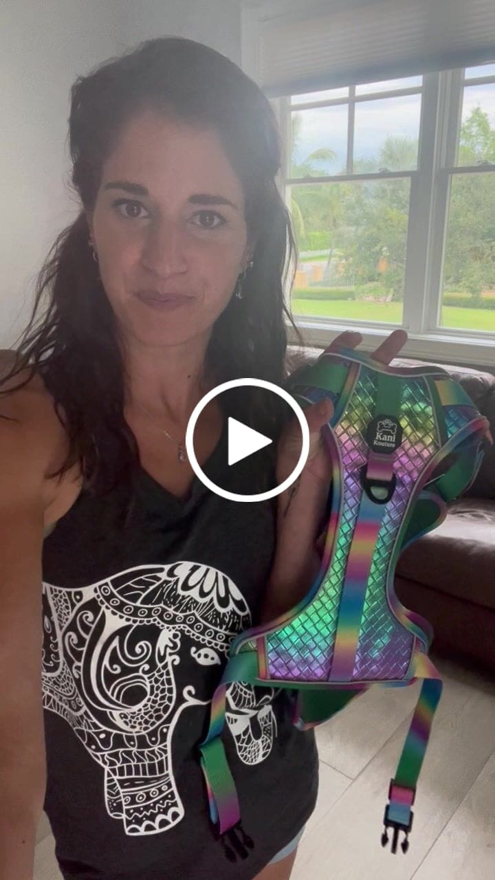 Customer video review of Mystical Haze - Adventure Leather Harness