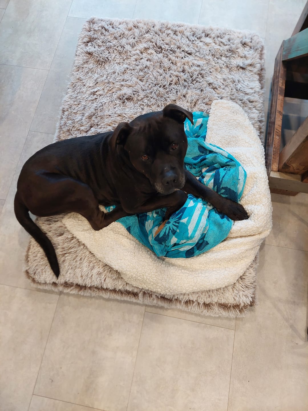Customer photo review of Brooklyn® Ultra Memory Foam Bed