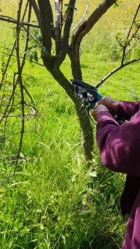 Customer photo review of GardenBrite™ Cordless Electric 4/6" Chainsaw
