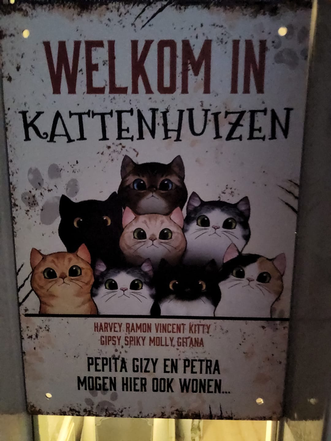 Customer photo review of Nieuwsgierige katten - Gepersonaliseerde deurbord