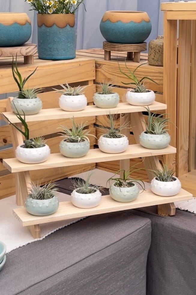 Customer photo review of Wholesale Bulbosa Small  (Minimum Order 5)