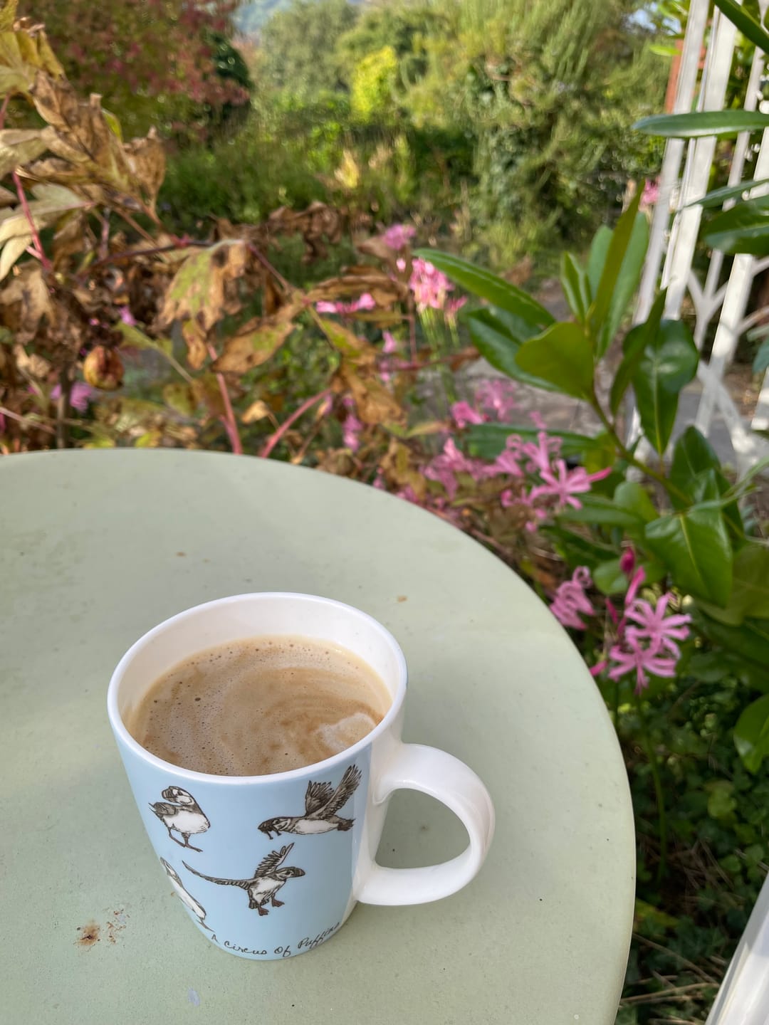 Customer photo review of Decadent Decaf Dark Roast Decaffeinated Coffee Blend - Swiss Water Decaf/CO2 Process - Strength 5