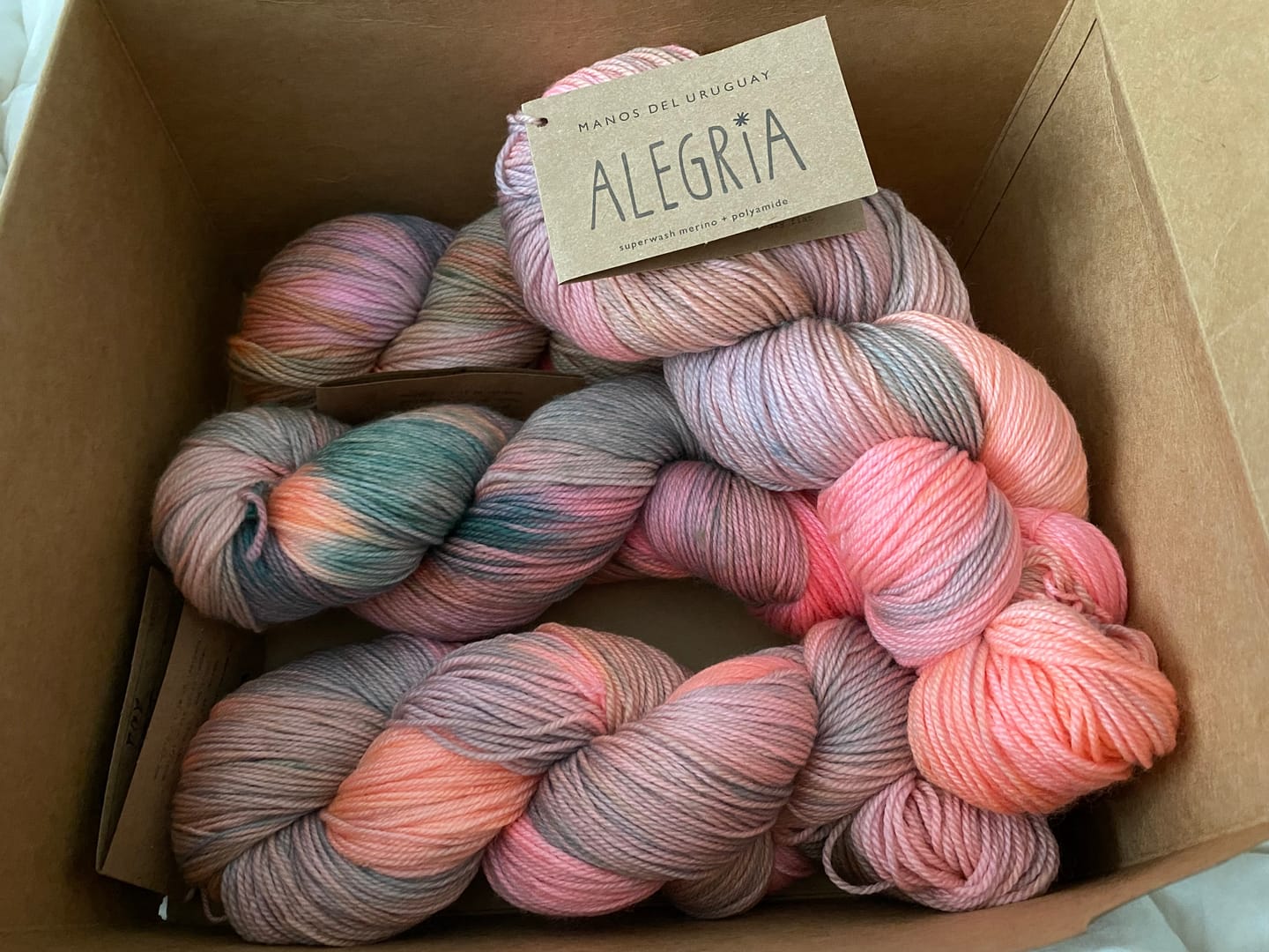 Customer photo review of Alegria  (75% Lana Merino Superwash / 25% Nylon)