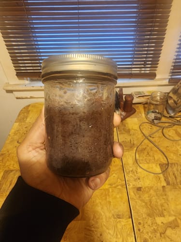 Customer photo review of Irish SeaMoss (Chondrus Crispus)