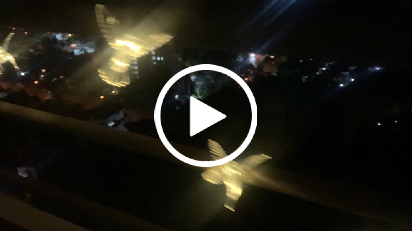 Customer video review of Colibrís Solares - IP65 Luz Cálida/Colores Largo 5 m