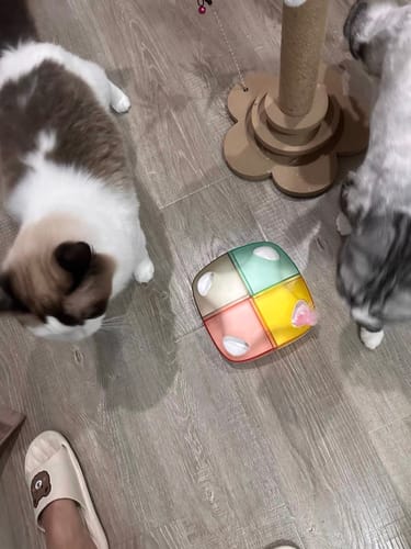 Customer photo review of Michu Interactive Feathered Rechargeable Cat Toy Box