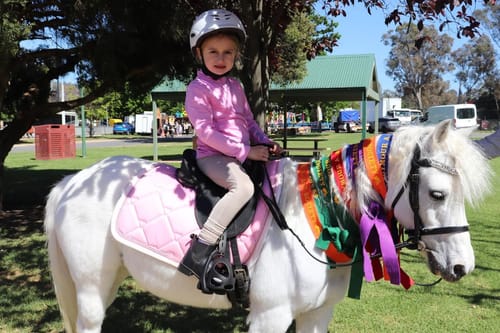 Customer photo review of Epona Grooming Kit