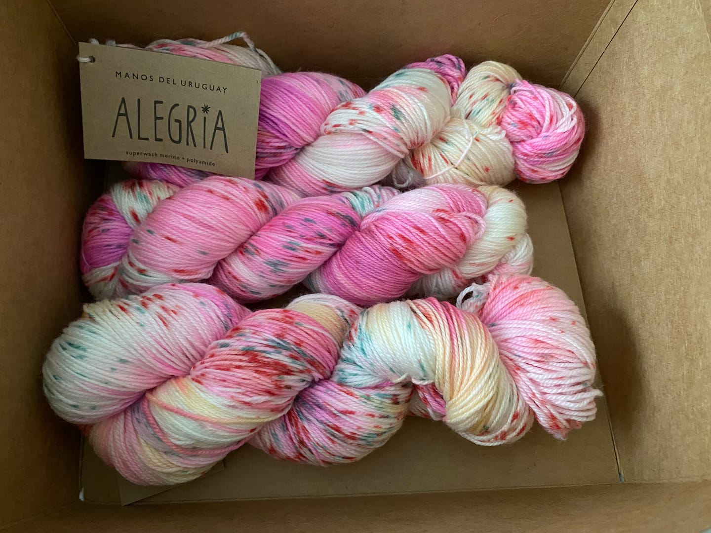 Customer photo review of Alegria  (75% Lana Merino Superwash / 25% Nylon)