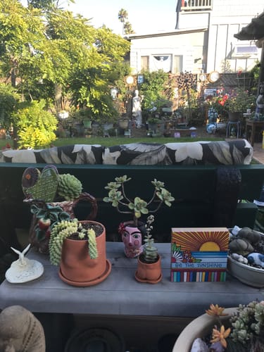 Customer photo review of The Caboose | Pot & Saucer