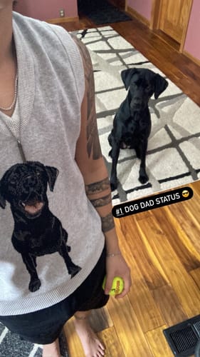 Customer photo review of Full-Body Pet Custom Sweater