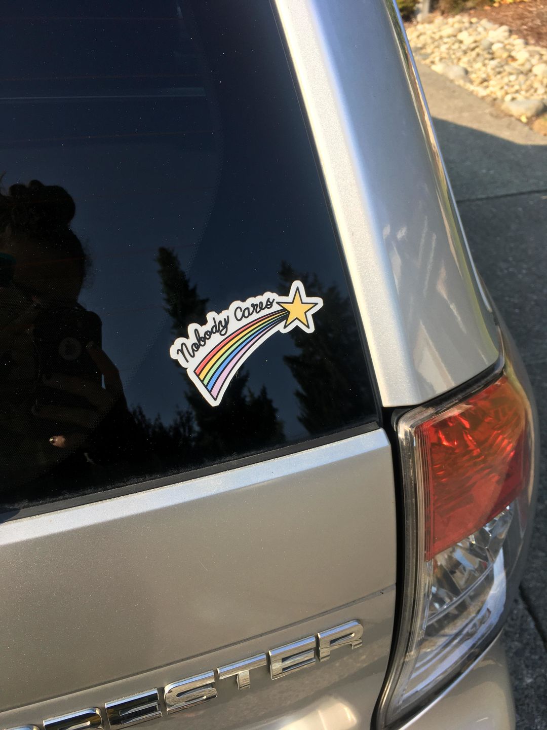 Customer photo review of Nobody Cares Shooting Star Sticker