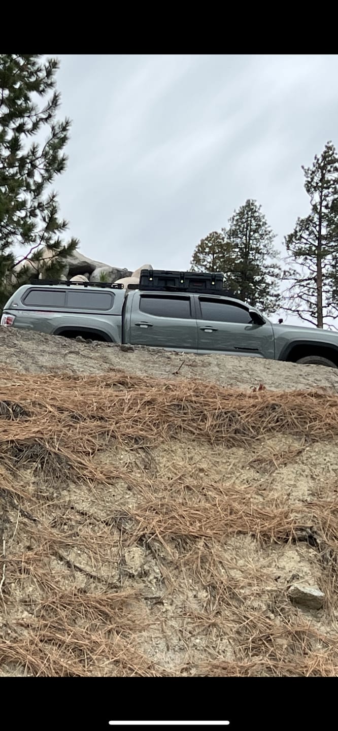 Customer photo review of Lockable Strap For Trail Cameras - Steel Reinforced