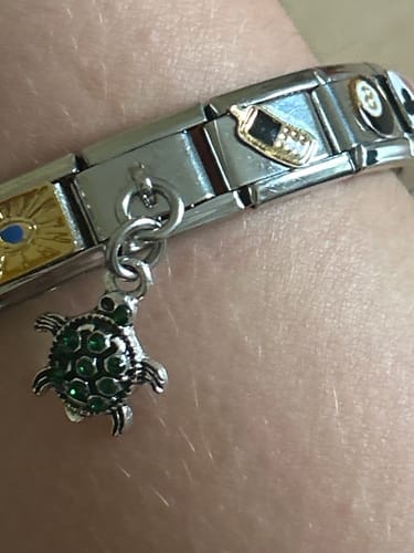 Customer photo review of Sea Turtle