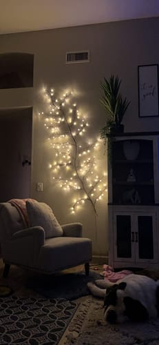 Customer photo review of Enchanted Willow Vine Lights