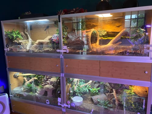 Customer photo review of 4'x2'x2' Original PVC Reptile Enclosure