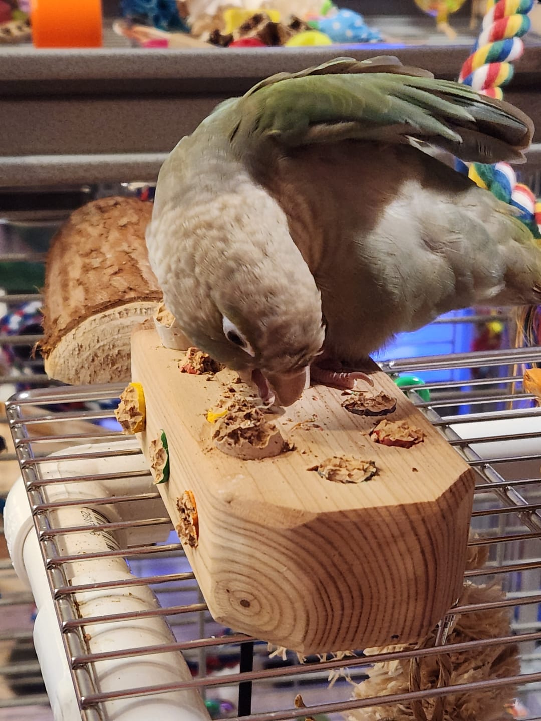 Customer photo review of Cork Stuffer Bolt-On